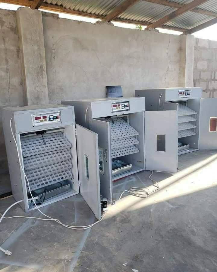 Machine za mayai INCUBATOR