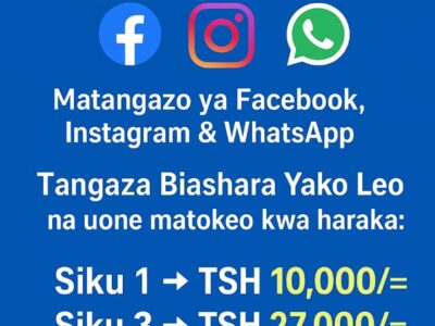 KUZA BIASHARA YAKO MTANDAONI KWA KUTUMIA SPONSORED ADS